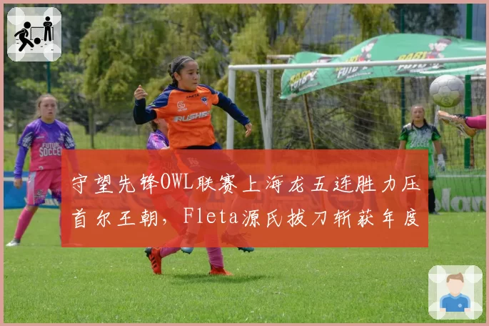 守望先锋OWL联赛上海龙五连胜力压首尔王朝,Fleta源氏拔刀斩获年度最佳
