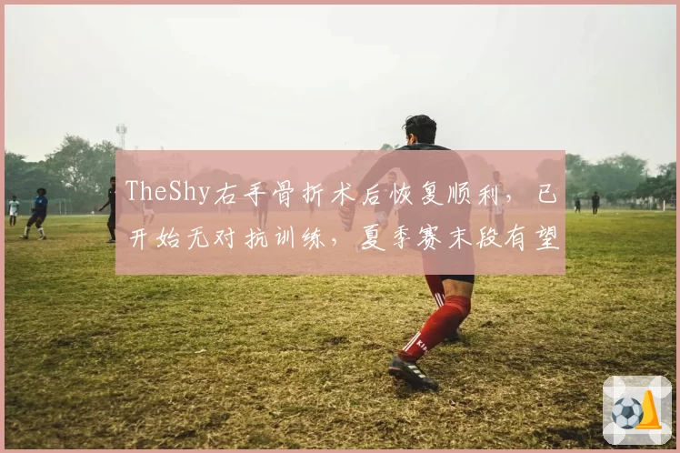 TheShy右手骨折术后恢复顺利，已开始无对抗训练，夏季赛末段有望回归